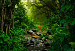 Guadeloupe: Marabout Numérologie Astrologie Étoile de naissance Guadeloupe: Marabout Numérologie Astrologie Étoile de naissance