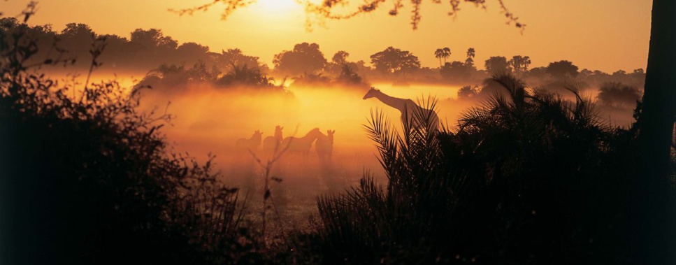 Professor LATIF em, Póvoa de Varzim, Santo Tirso, na Portugal, Grande Vidente Medium Astrologo Curandeiro Africano, Especialista em resolver problemas o mais rápido possível - Tel+Whatsapp : 00351 920 76 82 82 Professor LATIF em, Póvoa de Varzim, Santo Tirso, na Portugal, Grande Vidente Medium Astrologo Curandeiro Africano, Especialista em resolver problemas o mais rápido possível - Tel+Whatsapp : 00351 920 76 82 82