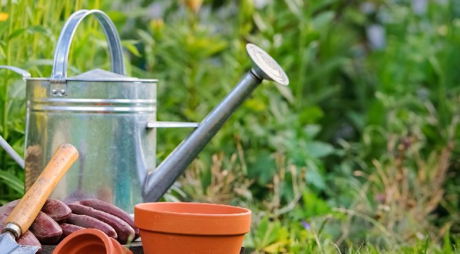 Le désherbant phare de Monsanto bientôt absent des jardineries