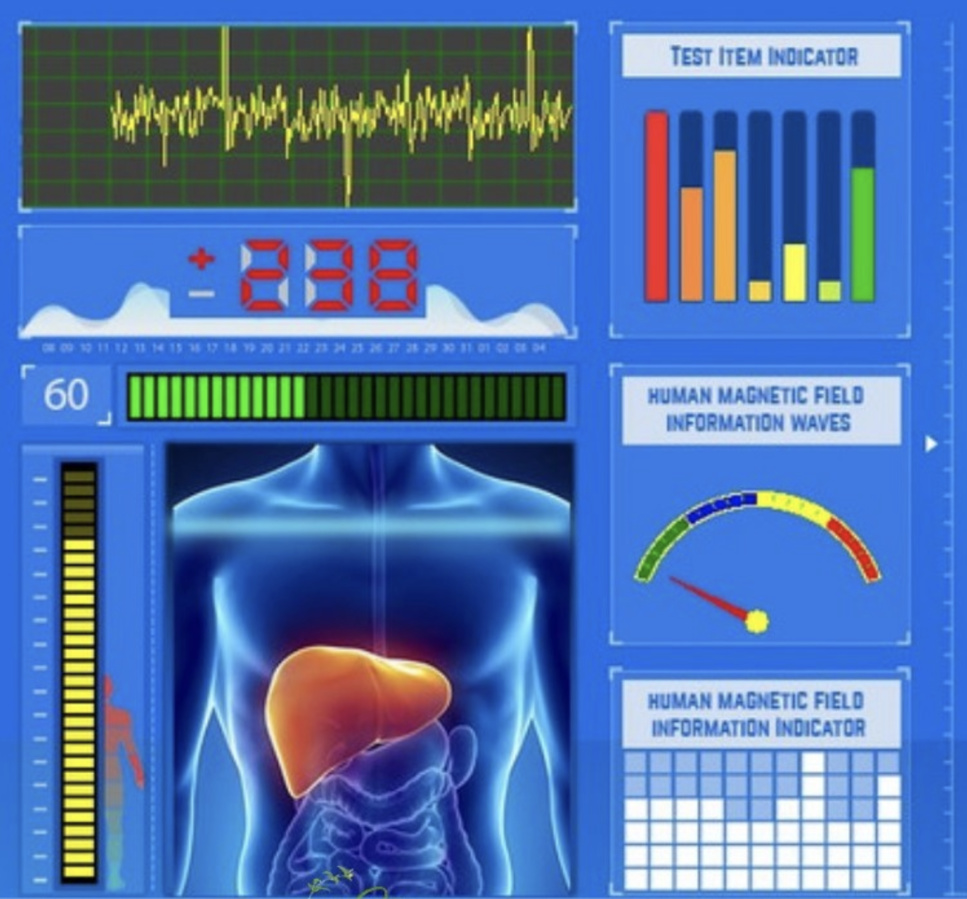 Les Bienfaits de la Naturopathie et les Avantages de la Biorésonance en Consultation à 15 Minutes de VICHY Les Bienfaits de la Naturopathie et les Avantages de la Biorésonance en Consultation à 15 Minutes de VICHY