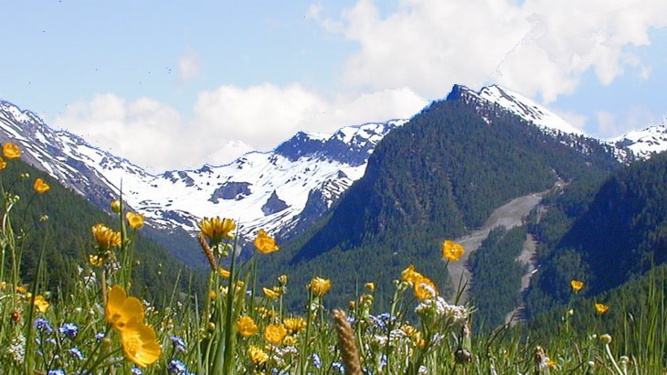 Ruralités: 21 mesures qui ne convaincront pas Ruralités: 21 mesures qui ne convaincront pas