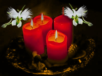 Pr Tou grand voyant medium marabout du retour de l'être aimé en Martinique et Fort-de France Pr Tou grand voyant medium marabout du retour de l'être aimé en Martinique et Fort-de France