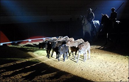 10ème anniversaire de la feria mondiale du taureau 10ème anniversaire de la feria mondiale du taureau