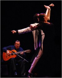 Les jeudis flamencos du centre culturel Cajasol Les jeudis flamencos du centre culturel Cajasol