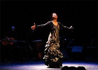 Séville: les 'jeudis flamencos' du centre culturel Cajasol Séville: les 'jeudis flamencos' du centre culturel Cajasol