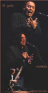 Seville: Sitar indien et flamenco Seville: Sitar indien et flamenco