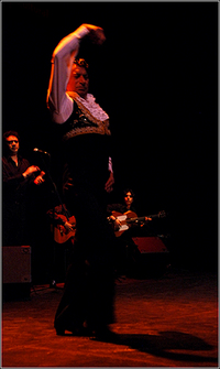 Les jeudis flamencos du centre culturel Cajasol à Seville