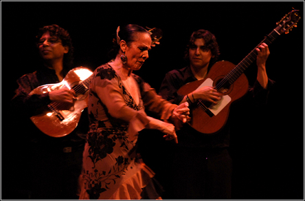 Les jeudis flamencos du centre culturel Cajasol à Seville Les jeudis flamencos du centre culturel Cajasol à Seville