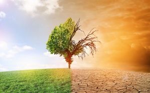Changement Climatique : Une Menace Inéluctable pour Nos Vies et Celles de Nos Enfants Changement Climatique : Une Menace Inéluctable pour Nos Vies et Celles de Nos Enfants