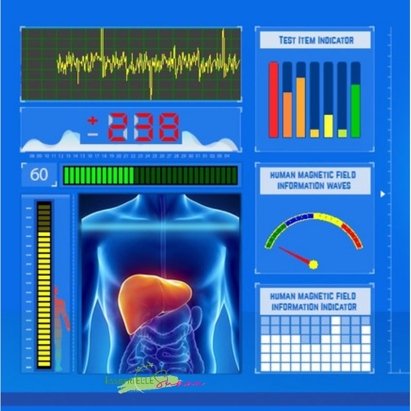 🌐 La santé 4.0 : Quand la Biorésonance fait parler nos cellules