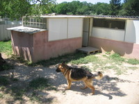 Pension canine en Provence BDR Pension canine en Provence BDR
