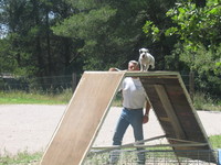 Pension canine en Provence BDR Pension canine en Provence BDR