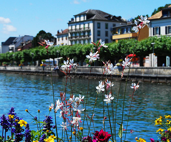 Genève: Consulter un Avocat 