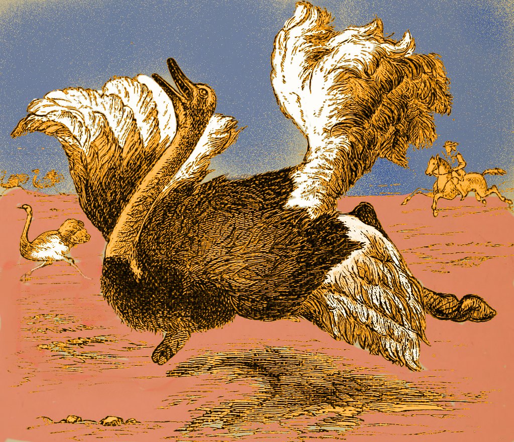 La Révolution: une habitude en France