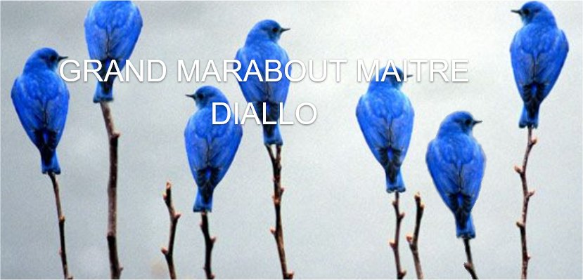 Mr Diallo marabout guérisseur sérieux, compétent et voyant africain Marseille