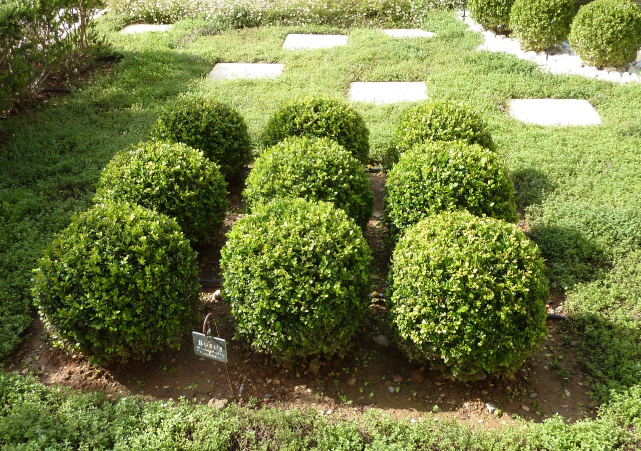 C'est quoi le Lending