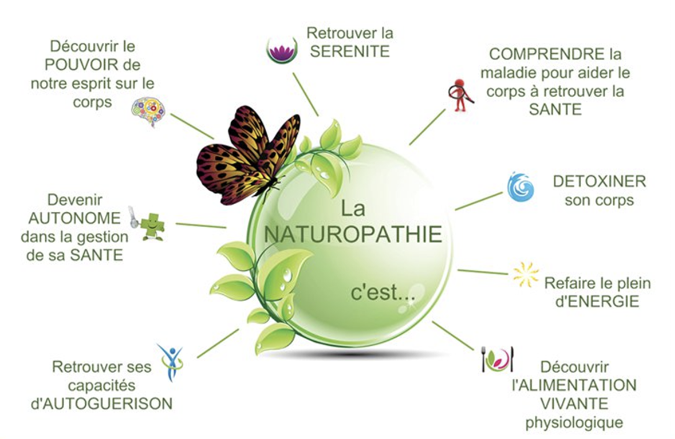 Que soigne un naturopathe ? La naturopathie est-elle une discipline de santé ?