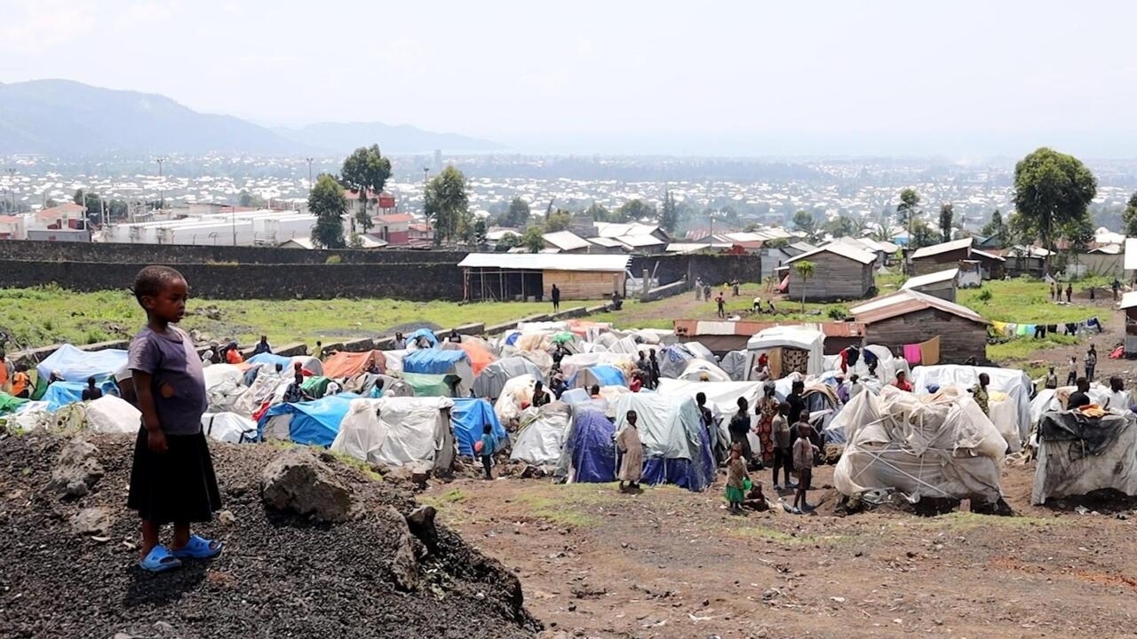 Conflit dans l’est de la RD Congo : des Experts de l’ONU pointent la responsabilité du Rwanda