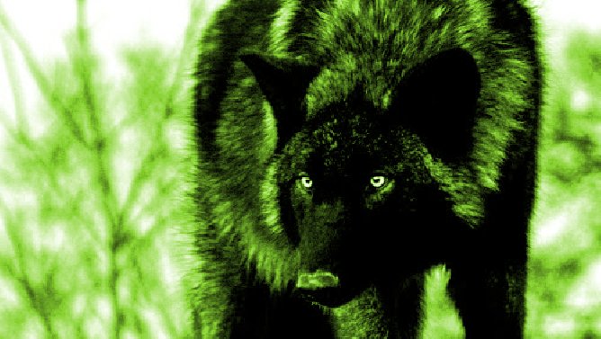 Juppé et Macron préférés des Français