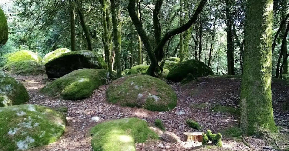 Karamba: Marabout guérisseur d'amour et médium en CREUSE 23 Guéret