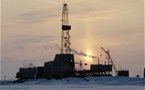 Moscou veut des partenaires stables dans l'Arctique pour le gaz