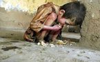 Famine pour sept millions d'Afghans et autres actus monde