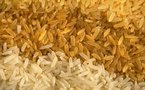 Les ONG parlent de riz