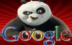 Internet: Google Panda s'invite chez nous