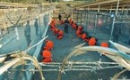 Habeas corpus pour Guantanamo