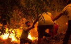 Les flammes dévorent la Grèce : Kyriákos Mitsotákis proclame un état de guerre