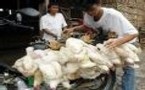 Grippe aviaire : 100è mort en Indonésie