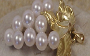 Cannes: perles de culture Netperles