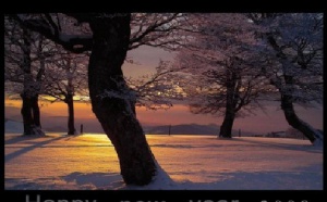 editoweb: happy new year and other news