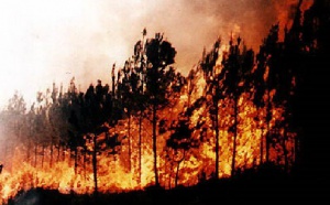 UK &amp; USA Today Editoweb 8 january 2009