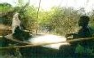 L'actualité du 15/09/05