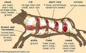 UK &amp; USA Today Editoweb 17 May 2010