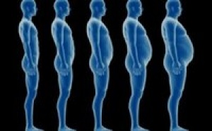 Les papas perdent de la testostérone