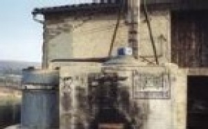 Lavande en Provence