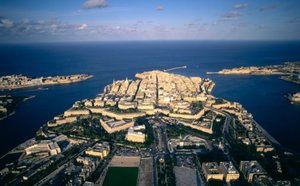 Malta news: Excellent survival rate