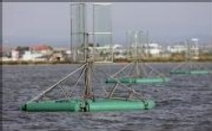 Des hydroliennes pour l'Etang de Berre?