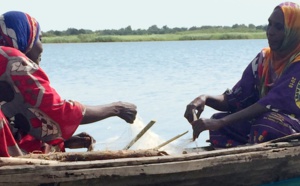 Réchauffement climatique: les populations du Lac Tchad dans la désolation