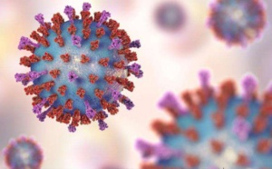 Le coronavirus COVID19 gagne du terrain mais tue moins que la grippe