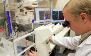 Malta news: PM optimistic