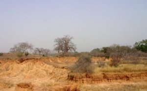 La Cédéao et le nord Mali