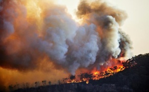 Algérie : Un homme accusé à tort d'avoir déclenché des feux de forêt tué par la foule