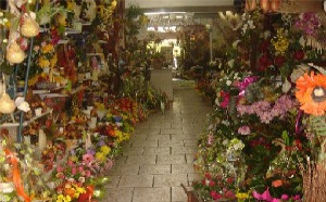 La Fare les Oliviers: fleuriste en Provence