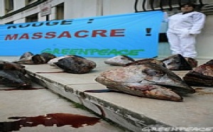 UE et Thon rouge: l'Europe fait le minimum