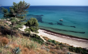 Méditerranée en surchauffe : quelles menaces sur la biodiversité marine ?