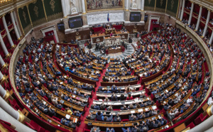 Le 49.3 en France : Limitation de la démocratie ou nécessité gouvernementale ?