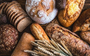 Le scandale du pain moderne - Voici comment trouver du BON et VRAI PAIN